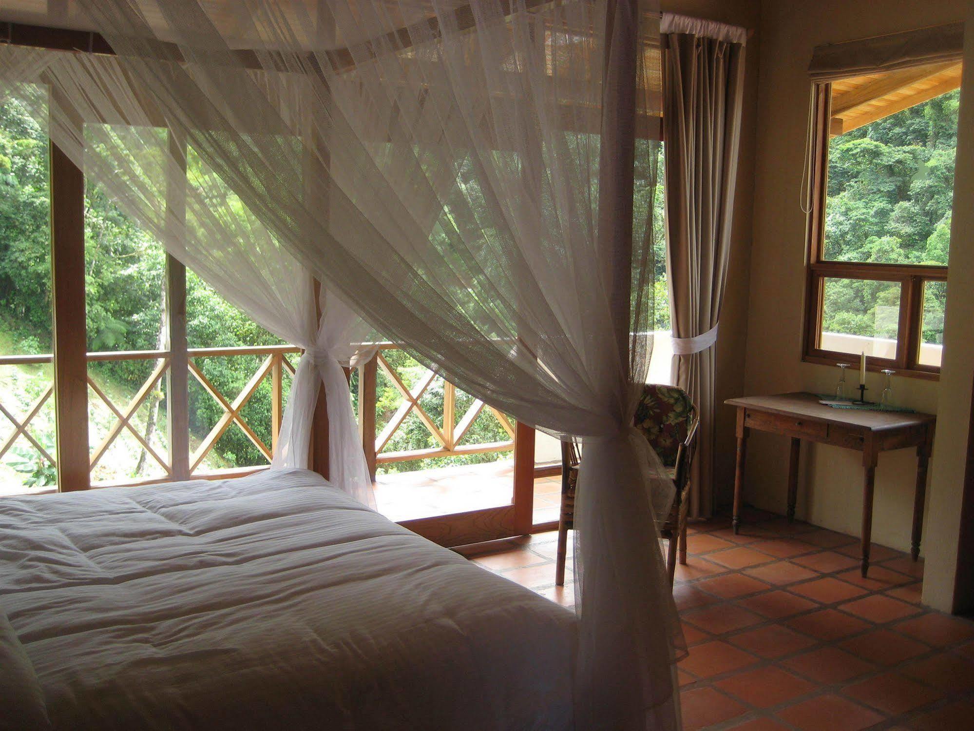 Rio Magnolia Nature Lodge Tinamaste Esterno foto